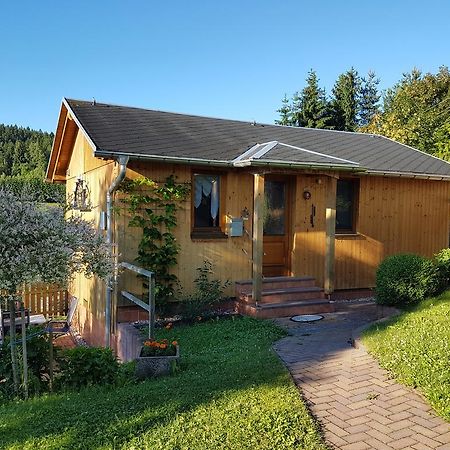 Вилла Haus Talsperreneck Stutzengrun Экстерьер фото